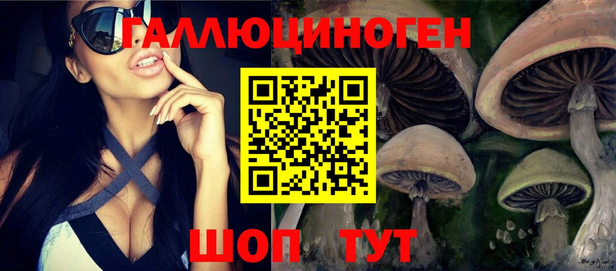 Псилоцибиновые грибы MAGIC MUSHROOMS Зима