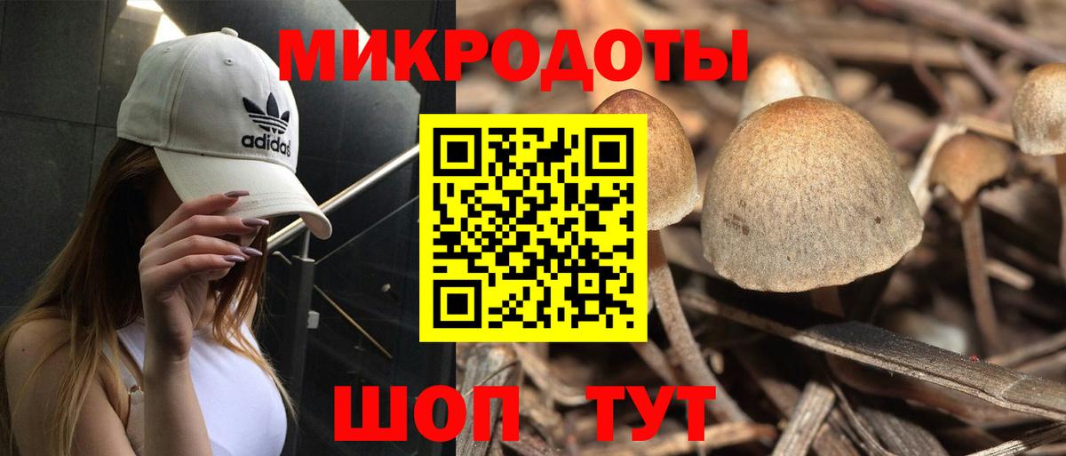 Зима  Псилоцибиновые грибы GOLDEN TEACHER  Псилоцибиновые грибы Psilocybe  Вход с VPN 